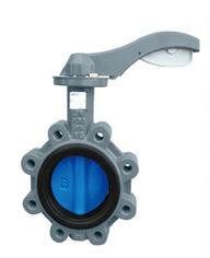 蝶閥(中線結構吊耳式及法蘭式連接)